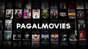 Pagalmovies.in: Pagal movies.in Download Hollywood, Bollywood, and Hindi Dubbed Movies Website, Is it Safe