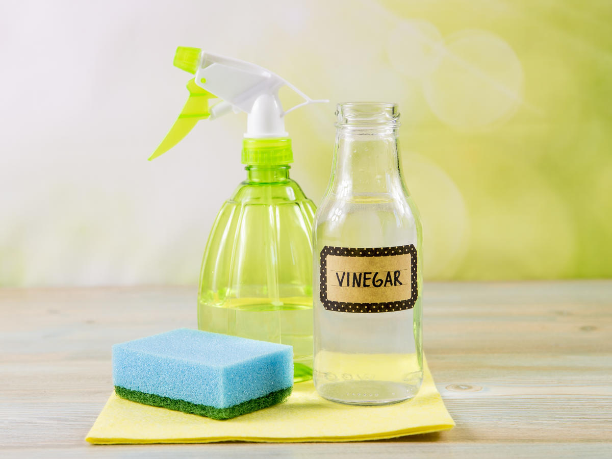 Vinegar a Disinfectant – How to Use it for Disinfection?