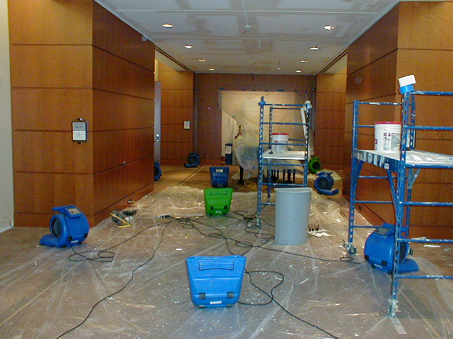 Get to Recognize About Water Damage and Water Restoration