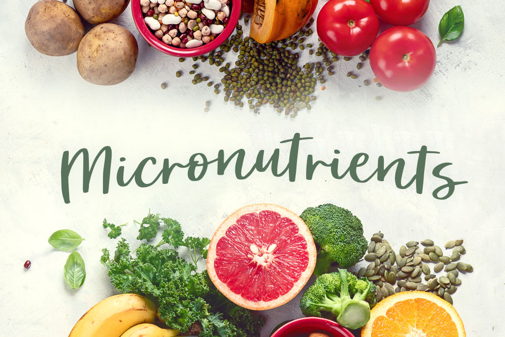 Why Are Mirco-Nutrients Important for Our Body?