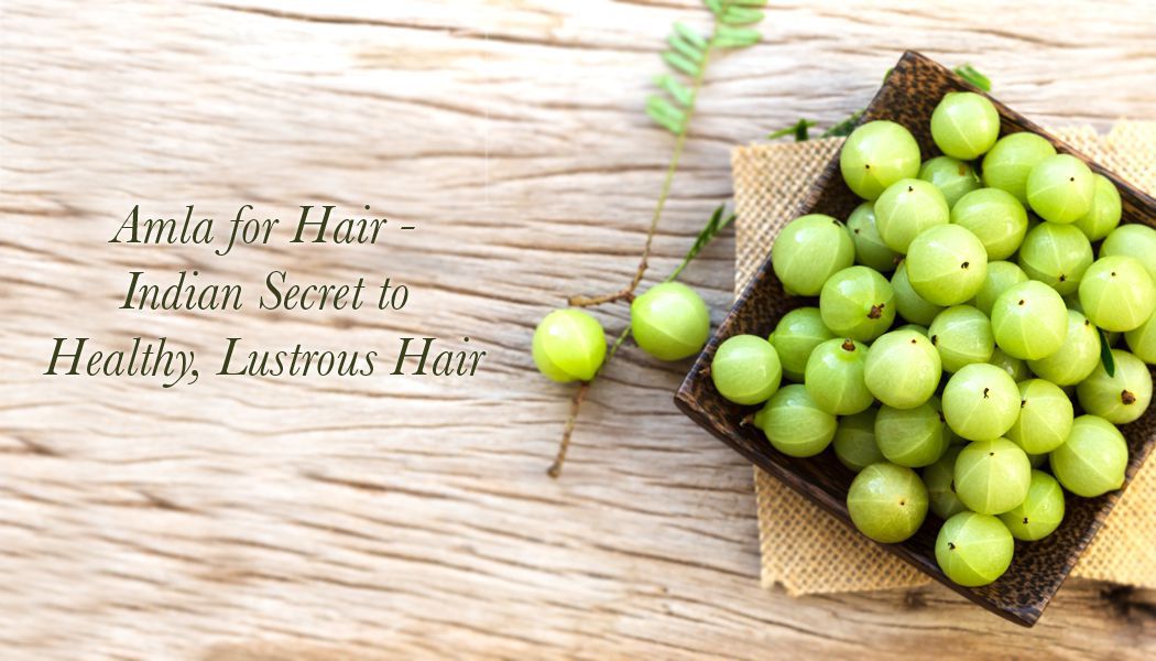 wellhealthorganic.com:amla-powder-uses-for-hair-and-others