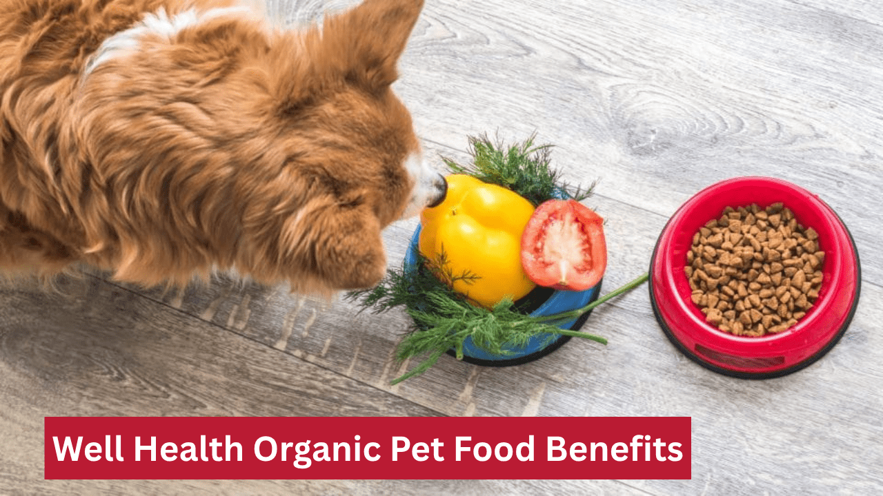 Well Health Organic Pet Food Benefits: What It Really Does for Your Pet